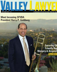 Top Rated Personal Injury Attorney in Woodland Hills, CA : Barry P. Goldberg