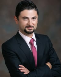 Gennady Litvin