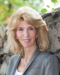 Top Rated Family Law Attorney in Bloomfield Hills, MI : Susan E. Cohen