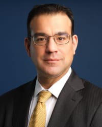 Top Rated Employment Litigation Attorney in New York, NY : Michael D. Palmer