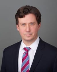Top Rated Business Litigation Attorney in New York, NY : Robert S. Landy