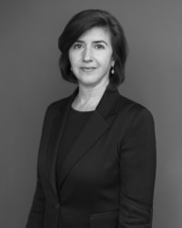 Top Rated Family Law Attorney in New York, NY : Nina S. Gross
