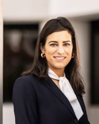 Top Rated Personal Injury Attorney in Los Angeles, CA : Neda L. Lotfi