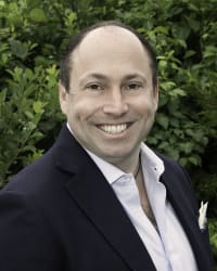 Alexander M. Dudelson