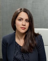 Top Rated Business & Corporate Attorney in Brooklyn, NY : Irene Sinayskaya Kahn