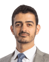 Hamad M. Hamad