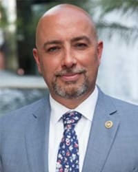 Amir A. Ladan