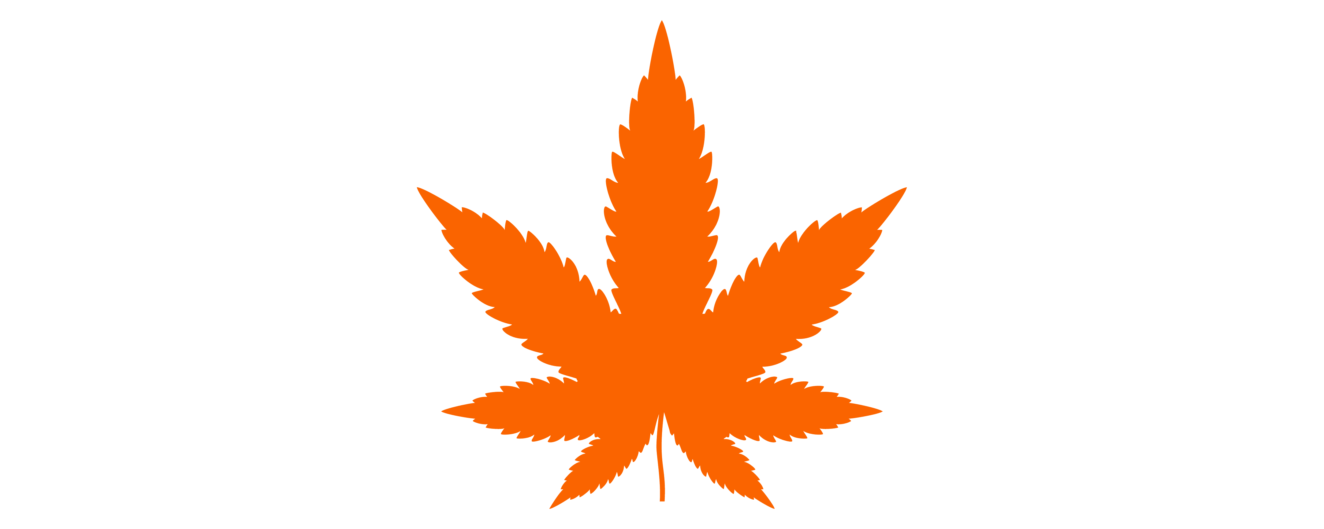 Don't Go Up in Smoke When You Enter the Illinois Cannabis Industry