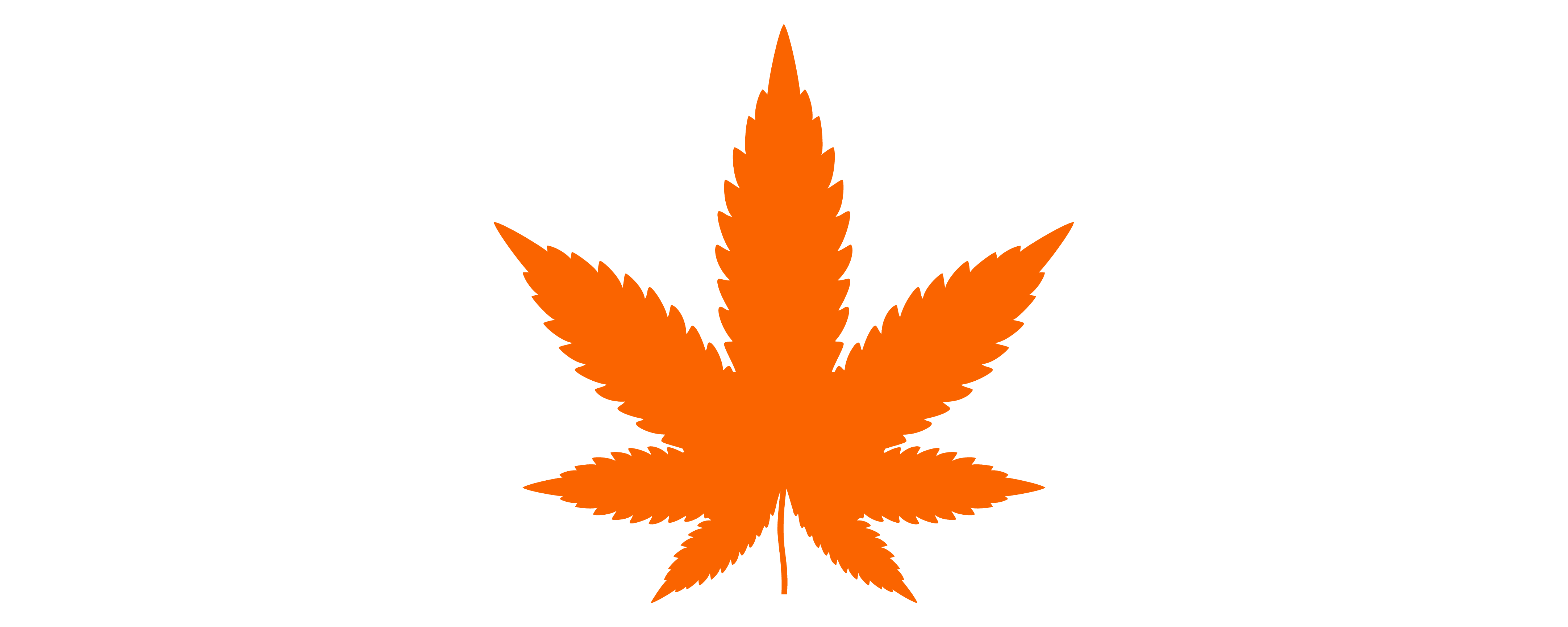 article cannabis