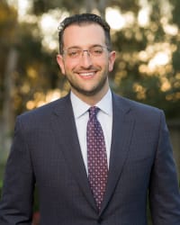 Image of Super Lawyers selectee David P. Shapiro