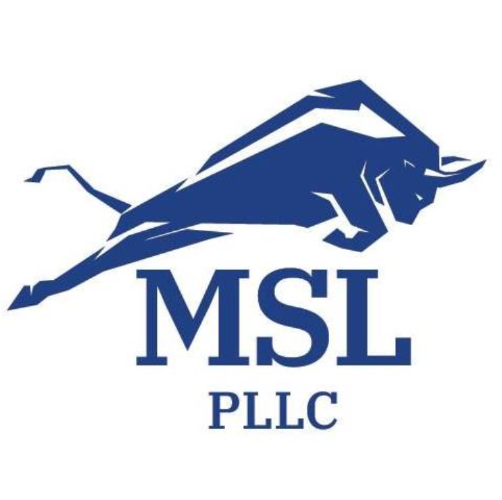 Law Offices of Michael S. Lamonsoff, PLLC law firm logo